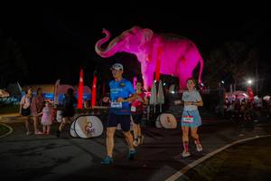 BIB: 
                            <button type="button" onclick="openModal(26552187)" class="btn btn-primary btn-sm float-right btn-popup" data-toggle="modal" data-target=".modal-high-quality">
                        <i class="fas fa-shopping-cart"></i> Add to Cart
                    </button>
                                            <button type="button" onclick="isThisMe(26552187, true)" class="btn btn-success btn-sm float-right btn-popup btn-isme hidden" data-toggle="tooltip" data-placement="bottom" title="นี่คือรูปของคุณใช่ไหม คลิกที่นี่เพื่อเอาเข้าอัลบั้ม">
                        <i class="fas fa-plus"></i> Add to album
                    </button>
                    <button type="button" onclick="isThisMe(26552187, false)" class="btn btn-warning btn-sm float-right btn-popup btn-isnotme hidden">
                        <i class="fas fa-ban"></i> Remove from album
                    </button>